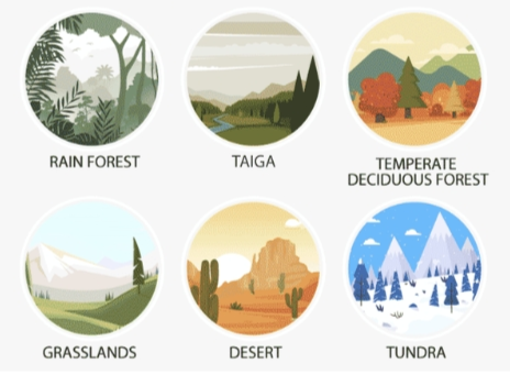 Picture of icons: rain forest, taiga, decidious forest, grasslands, desert, and tundra.