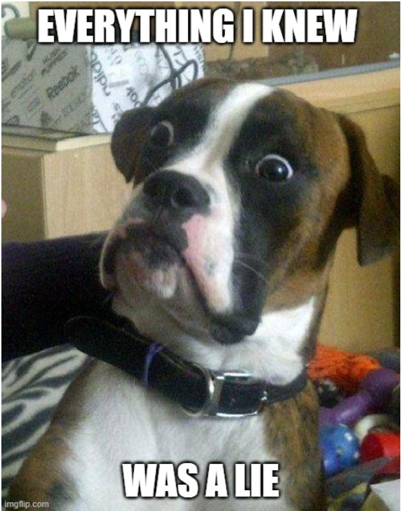 A shocked dog says, 