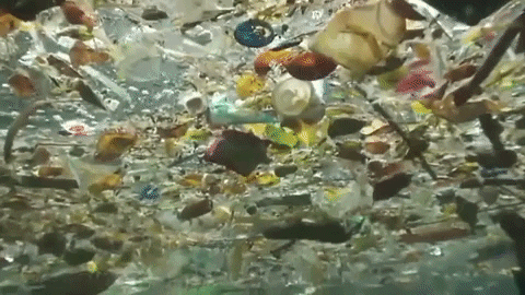 Plastic garbage floating in water.