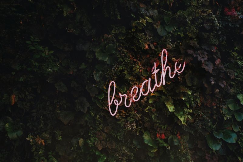 Neon light of word, 'breathe' against a background of shrubbery. 