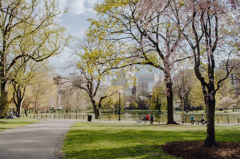 A park with trees, grass, and sidewalks.