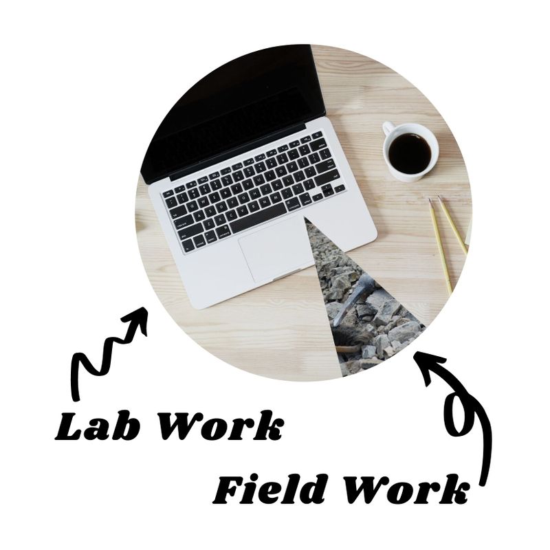 A pie chart showing much more lab work than field work