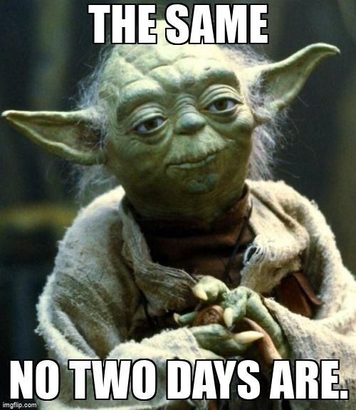 Yoda saying, 'The same, no two days are.'