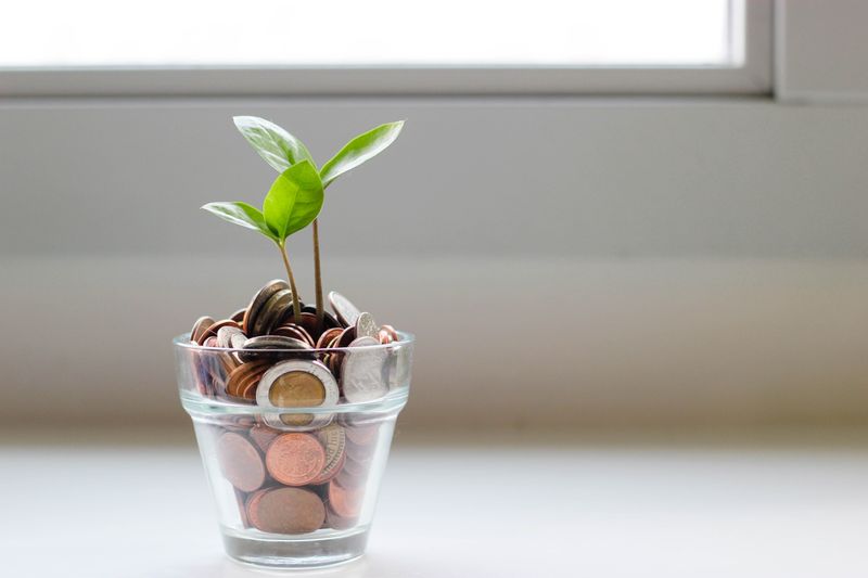 A plant growing out of a cup full of coins.