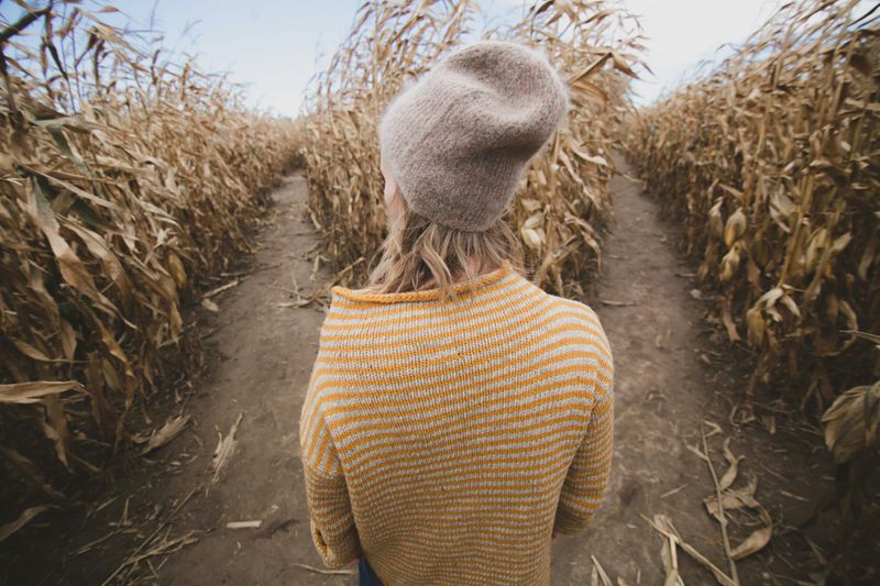 A woman looks at a corn maze with two different path options in front of her.