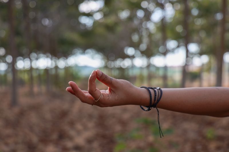 A hand doing a yoga pose in a forest