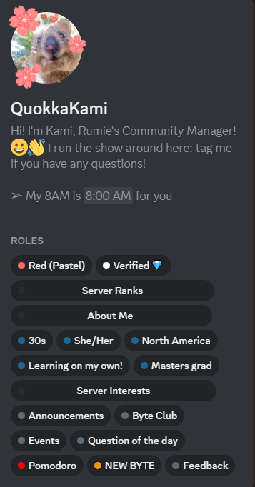 An example Discord member profile