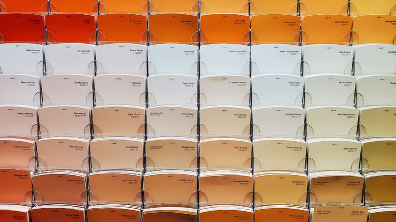 a display of over 60 paint chips to choose from