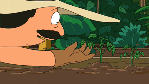 Bob from Bob's Burgers talking to a plant