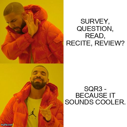 Drake putting his palm up, next to the words: "Survey, question, read, recite, review" and Giving the approval face to "SQR3"
