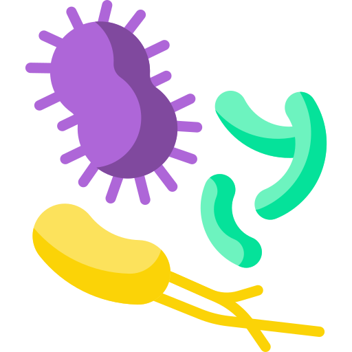 Icon of 3 bacteria shapes