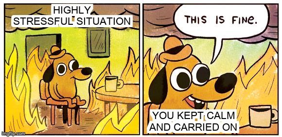 A dog in a flaming room. The dog says, 'This is fine.' Text: 'Highly stressful situation. You kept calm and carried on.'