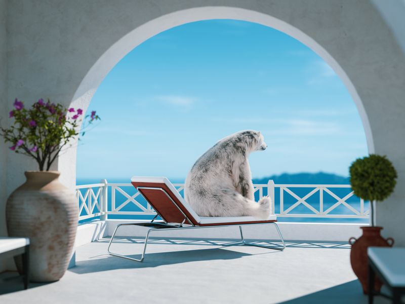 A polar bear is sitting on a chaise lounge on a balcony, contemplating nature.