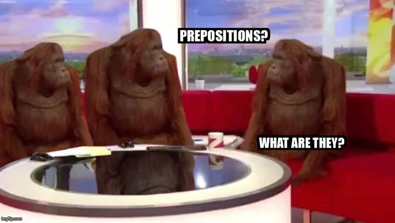 three monkeys sitting at a table. One says, Prepositions? What are they? 