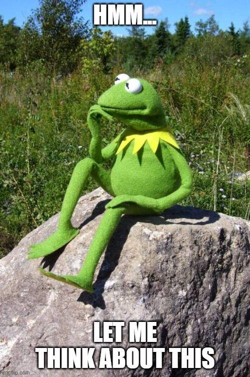 Kermit the Frog sitting on a rock in a thinking pose saying, 