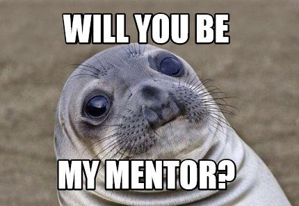 Seal with large, wet eyes and text that reads 'Will you be my mentor?'