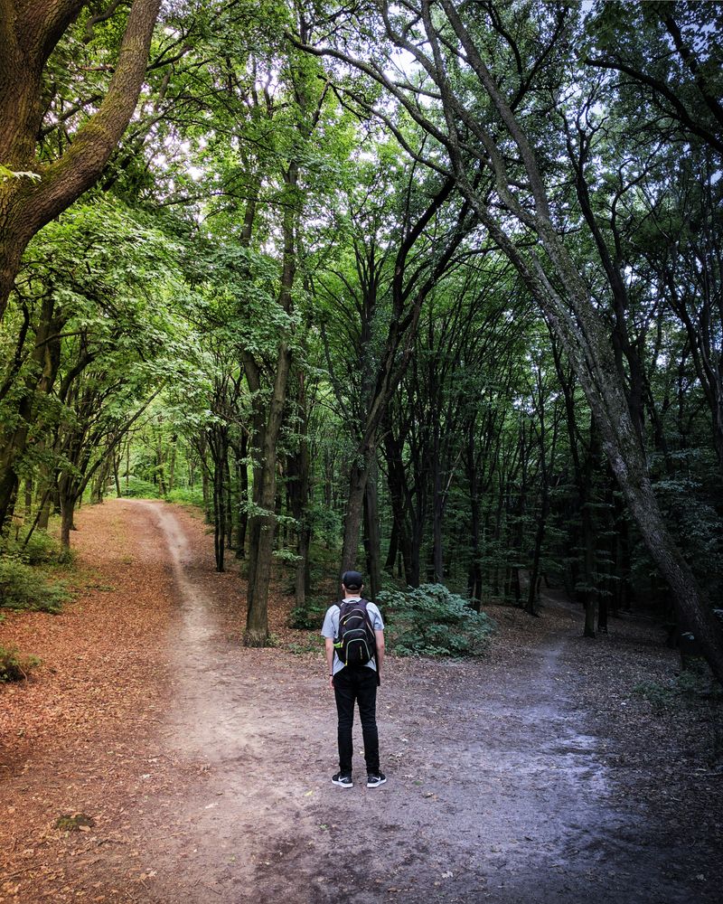A man standing at a crossways in a wood, two opposite paths are in front of him