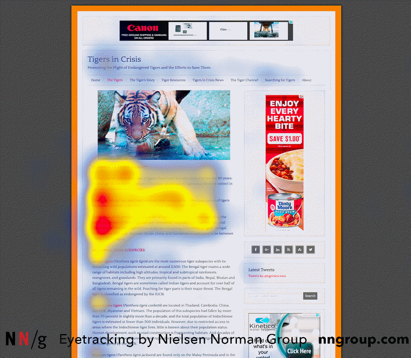 A heat map of an F-shape pattern. It shows a website with the gaze focusing on the top few lines and first few words. 