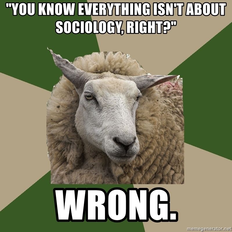 Meme with image of sheep and top text: You know everything isn't about sociology right? Bottom text: WRONG.