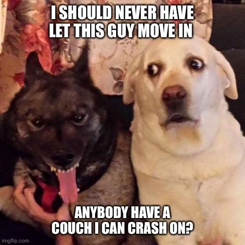 One dog says, 'I should have never let this guy move in.' Another dog says, 'Anybody have a couch I can crash on?'