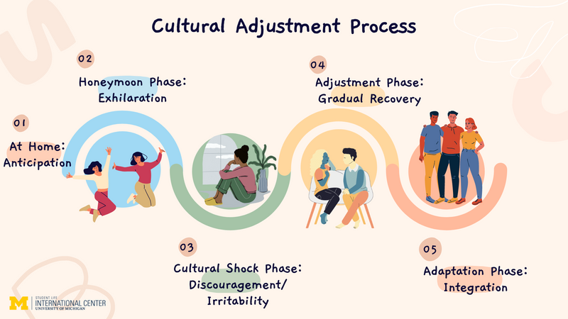 A diagram explaining the cultural adjustment process (audio description below).