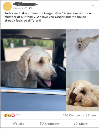 Facebook post announcing the loss of a beloved 14year old dog named Ginger along with 3 pictures of the dog.