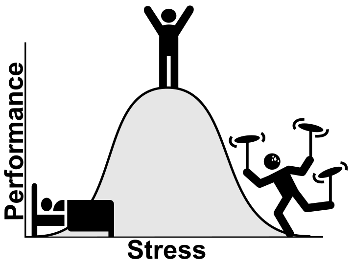 An illustrated bell curve graph of performance vs stress where performance peaks, when stress is in the middle range.