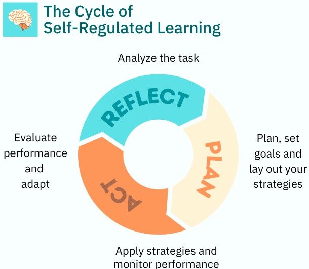 Cycle of Self-Regulated Learning: Reflect on objectives, Plan and choose strategies, study, then reflect again..