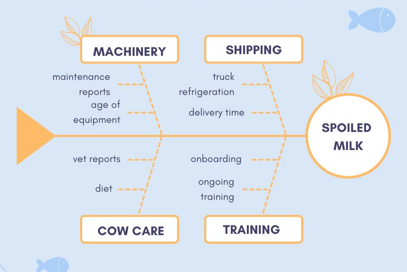 Fishbone diagram for spoiled milk looking at issues with machinery, shipping, cow care & training.
