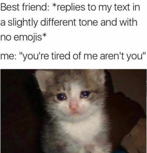 A sad cat. Text: 