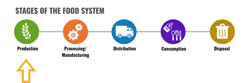 Five stages of the food system. Arrow is pointing to production.