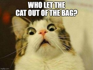 An image of a wide-eyed cat with the caption,