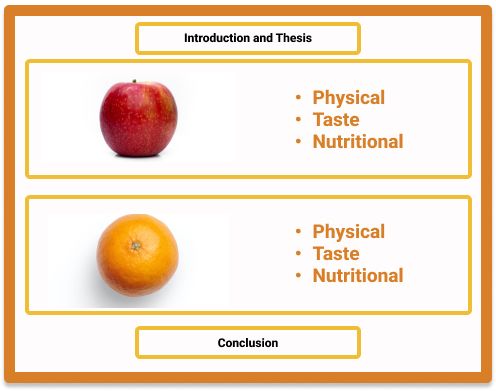 A point-by-point outline showing physical, taste, and nutritional aspects of each item in a separate paragraph.