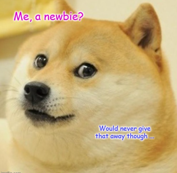 A dog says,  "Me, a newbie? Would never give that away though..."