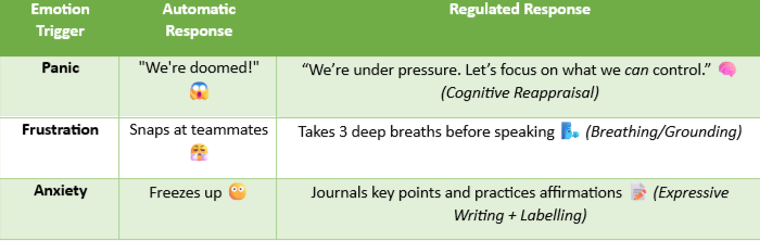 A chart shows panic, frustration, and anxiety managed by reframing, breathing, and writing (audio description below),