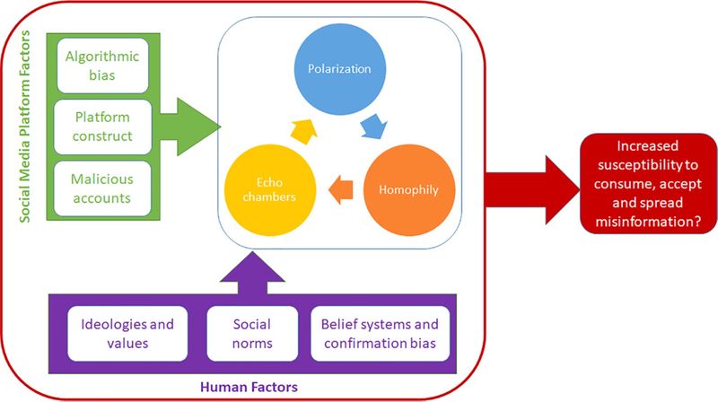 A graphic showing how human biases & social media lead to increased susceptibility to misinformation