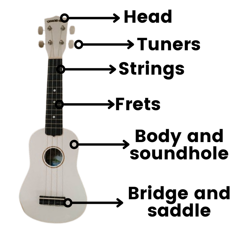 Diagram of the parts of a ukulele