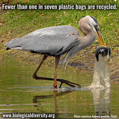 Bird in water pulling out a fish covered in a plastic bag. &apos;Fewer than one in seven plastic bags are recycled.&apos;