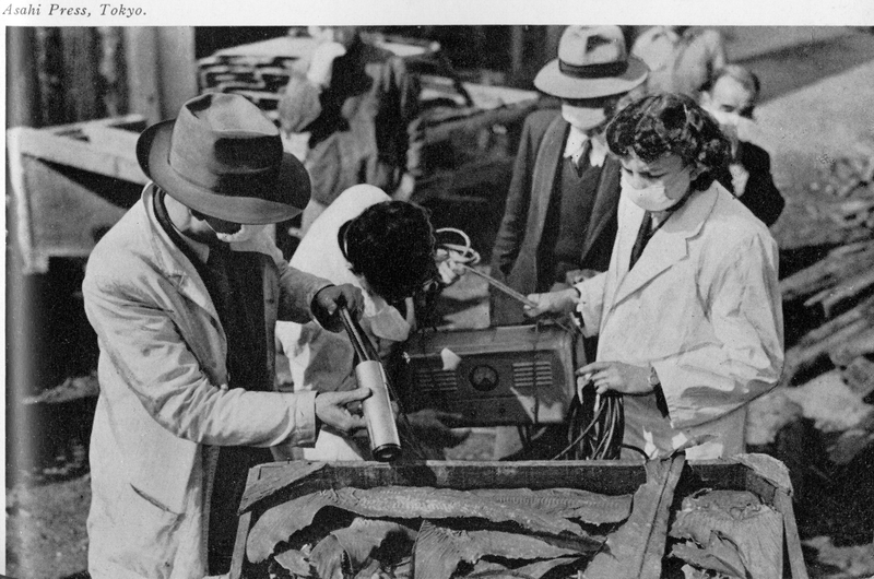 A group of scientists examining contaminated fish in a market.