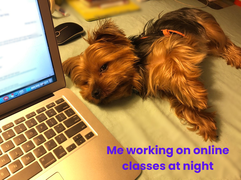 A Yorkie laying on a desk besides an open laptop with sleepy eyes. The text says: 