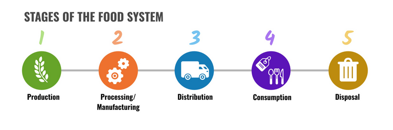 Five stages of the food system: 1 production, 2 processing/manufacturing, 3 distribution, 4 consumption, 5 disposal.