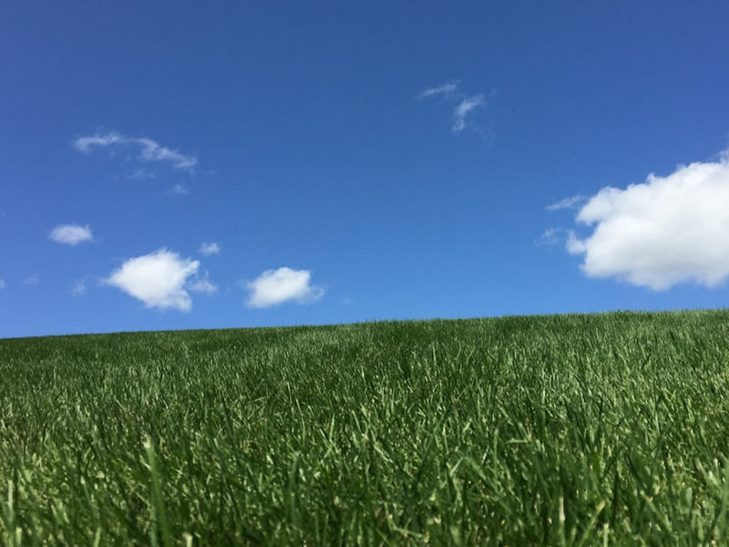 A landscape view of a grassy hill, looking upward toward the ridge with blue sky and scattered clouds overhead.
