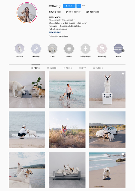 Instagram profile with cohesive colours and imagery