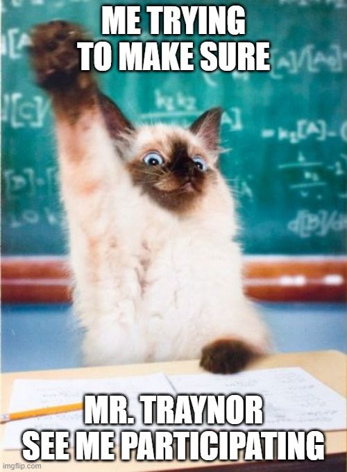 A cat  in a classroom raising its hands & saying, 'Me trying to make sure Mr. Traynor see me participating.'