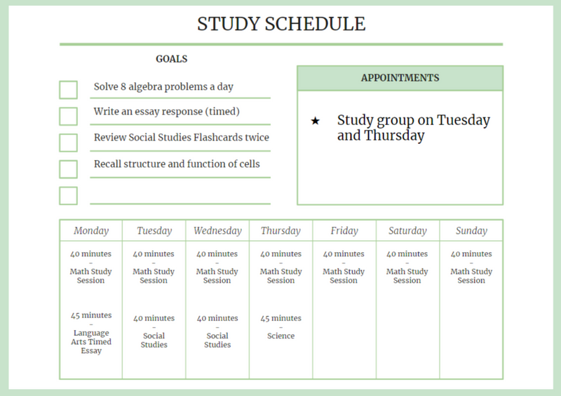 An example of an study schedule with goals, appointments, and daily study tasks (audio description below).