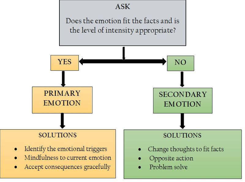 primary vs secondary emotions