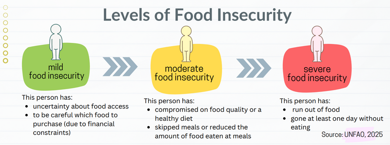 Three levels of food insecurity: mild, moderate, severe (audio description below).