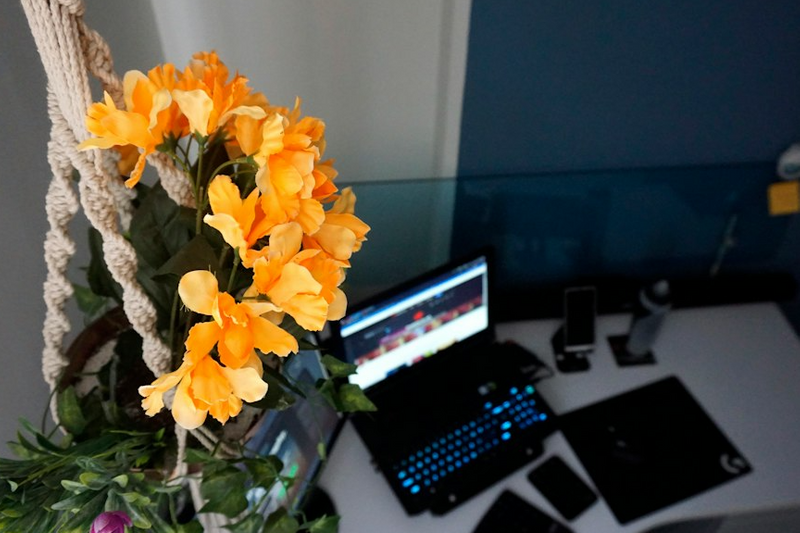 desk setup, laptop on learning material, flowers in macrame holder
