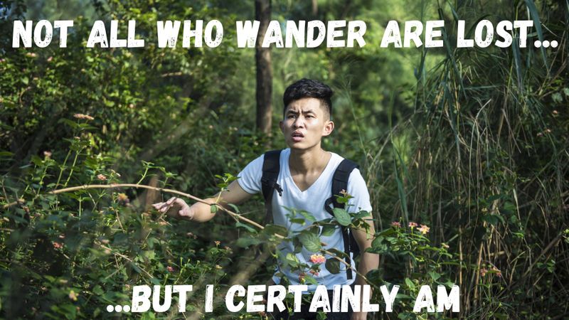 Boy lost in jungle with text 'Not all who wander are lost, but I certainly am'