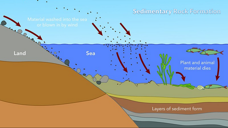 A labeled diagram illustrates how the process of sedimentary rock formation occurs through weathering and erosion